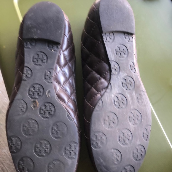 Tory - Picture 2 of 3